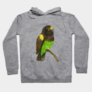 Meyer's parrot watercolor Hoodie